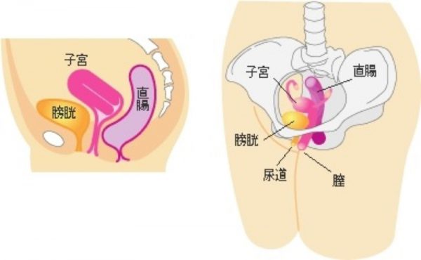 生理前の腰痛には 股関節を伸ばす 整體院 快